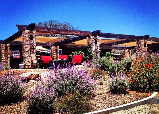 Vineyard Grant James grapes sip san diego wine glass of wine tasting room view